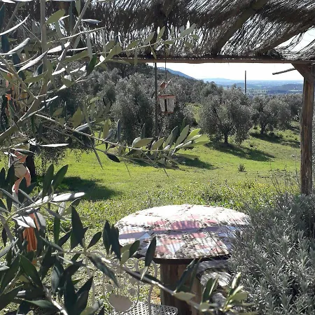 Poggio Falco Holiday home