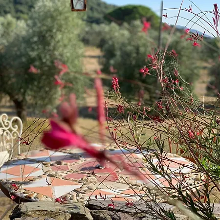 Poggio Falco Holiday home *